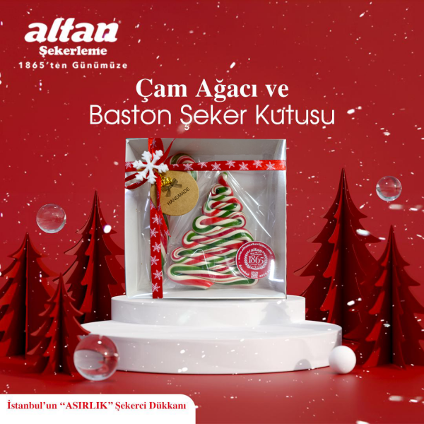 Çam Ağacı ve Baston Şeker Kutusu